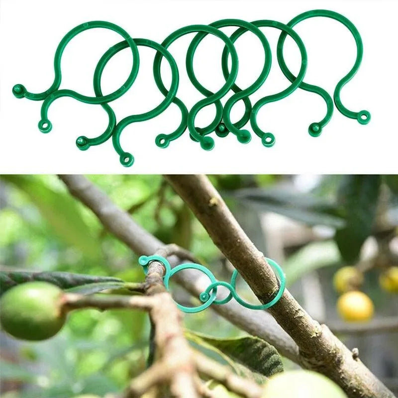 Garden Clips Trellis