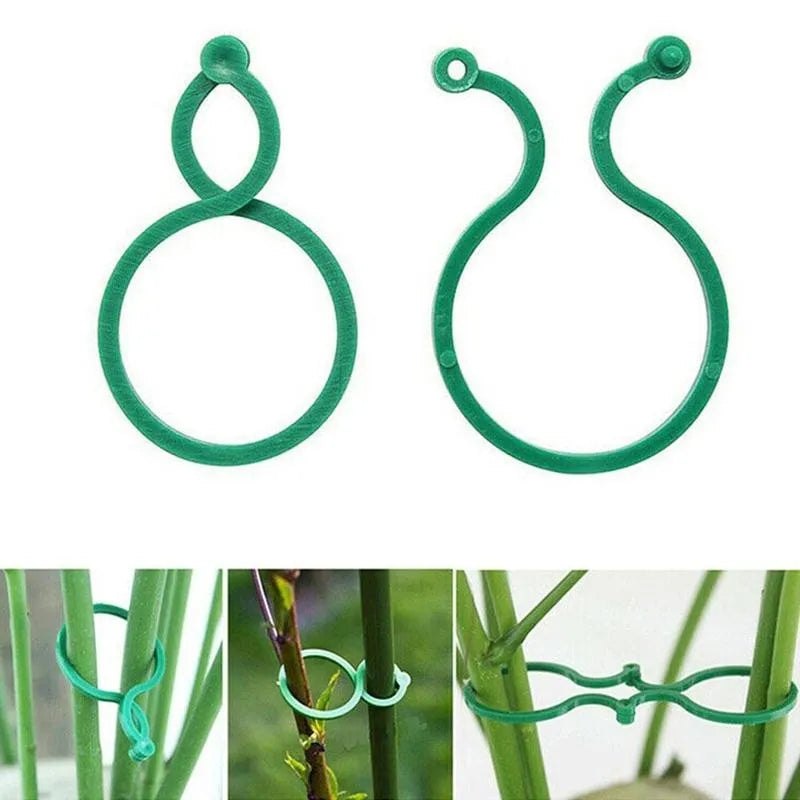 Garden Clips Trellis
