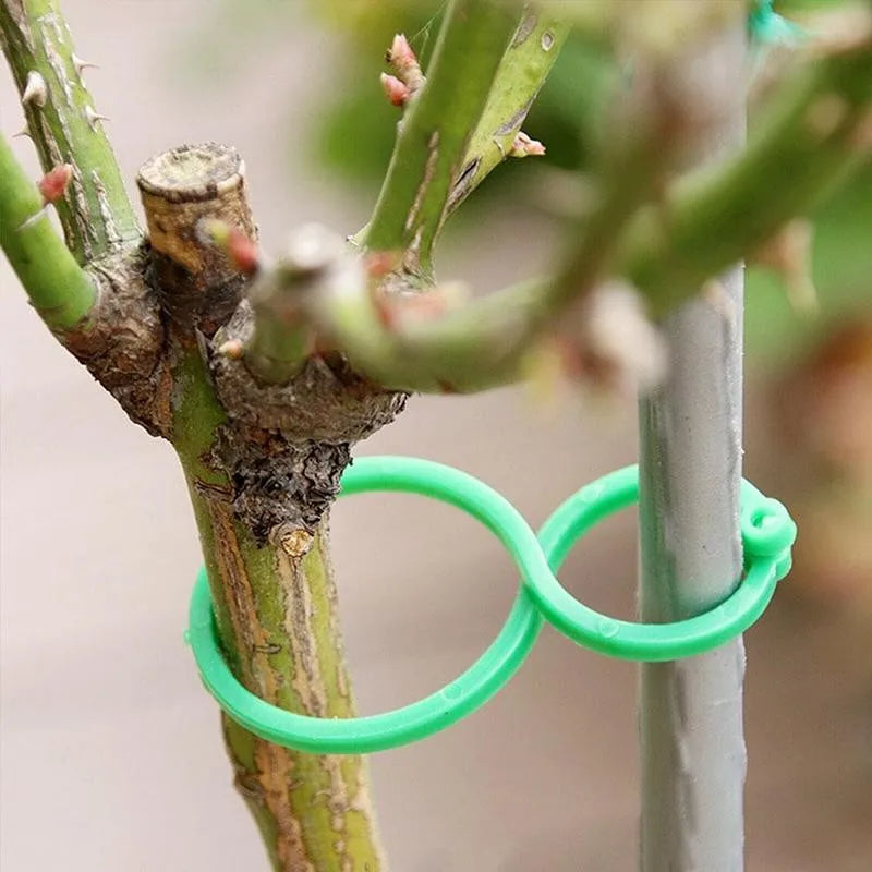 Garden Clips Trellis