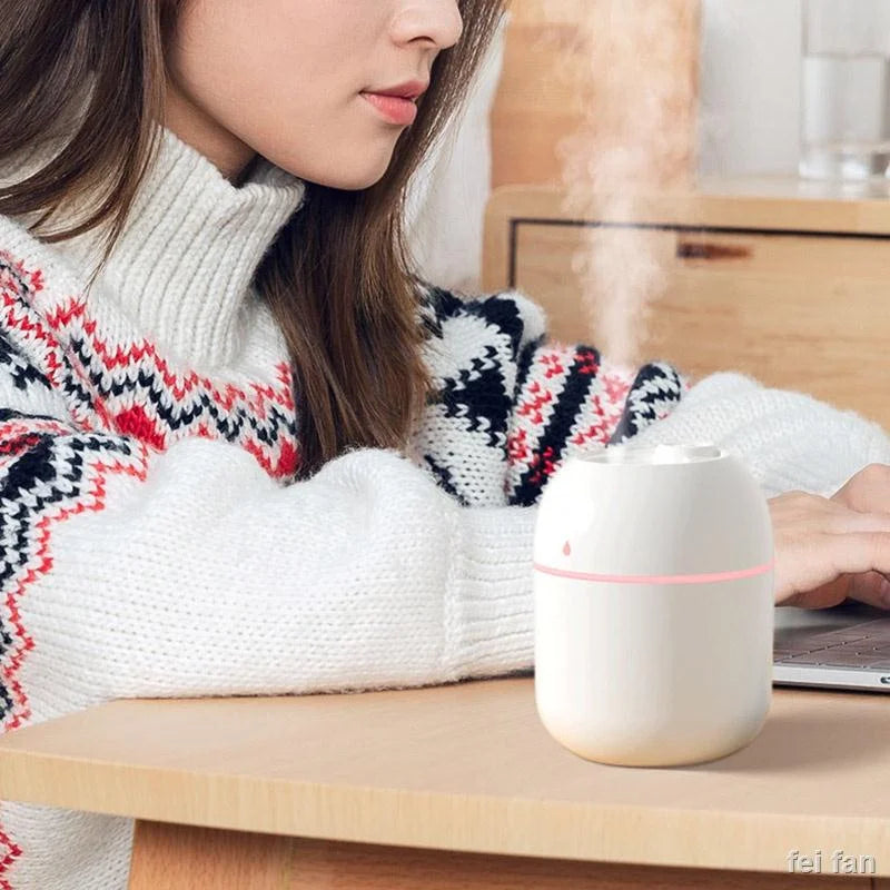 Portable Air Humidifier and Aroma Diffuser
