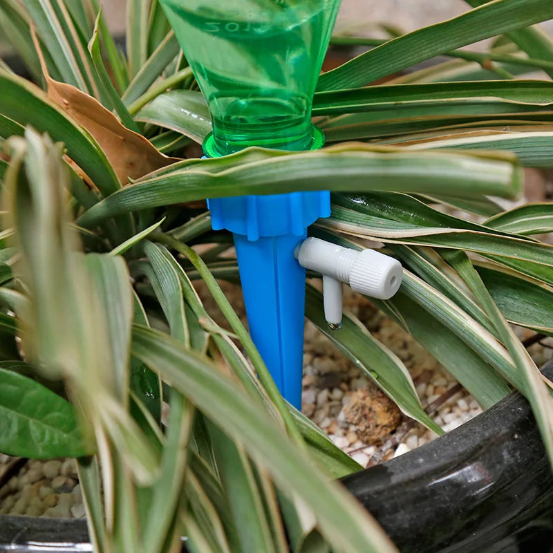 Self-Watering Kits