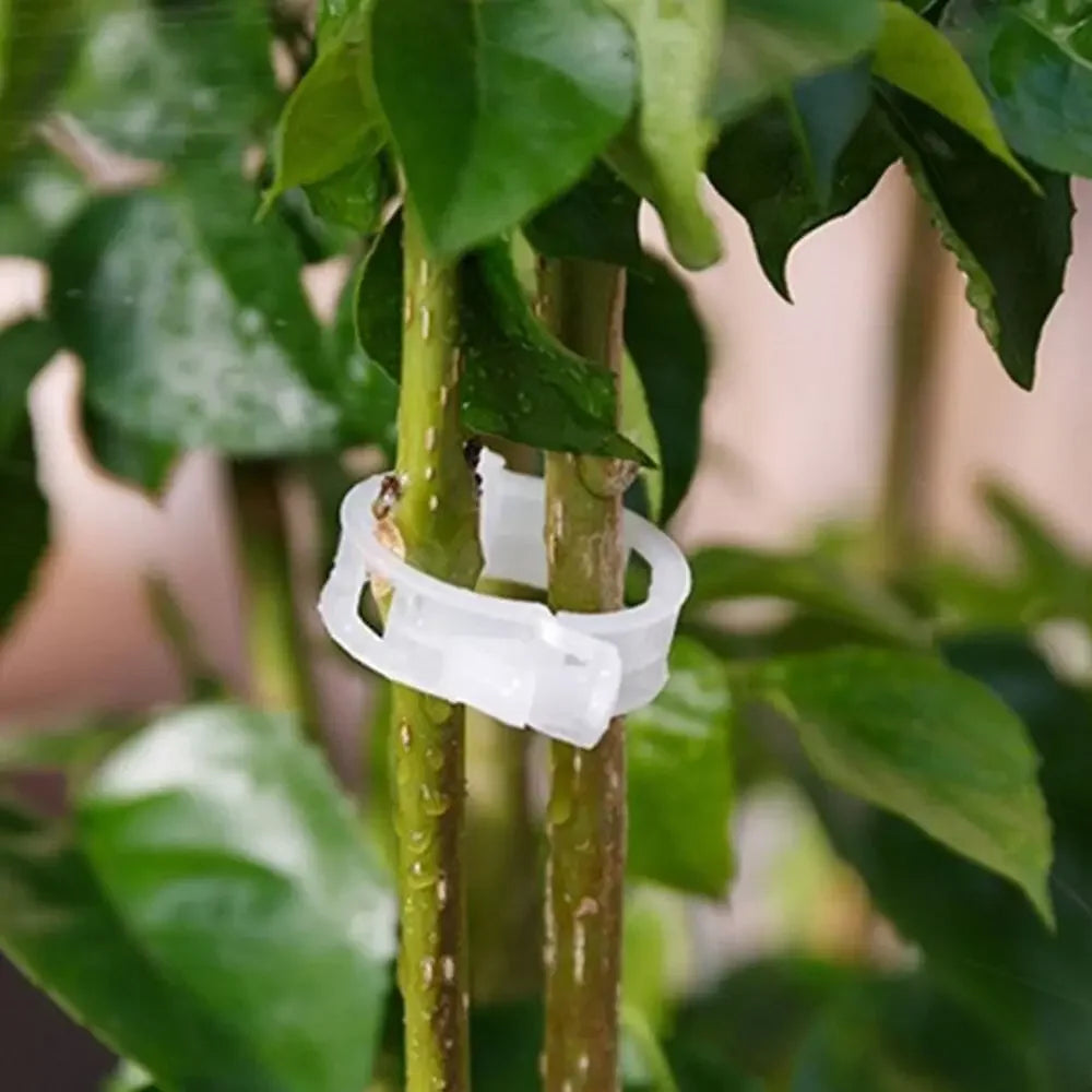 Plastic Plant Support Clips