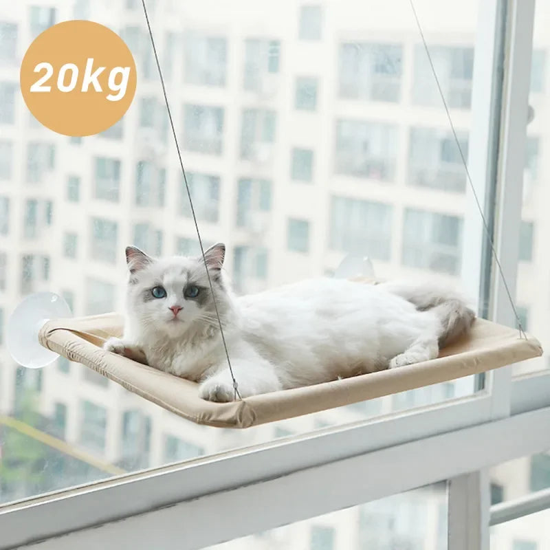 Cat Sunny Window Hammock Hanging