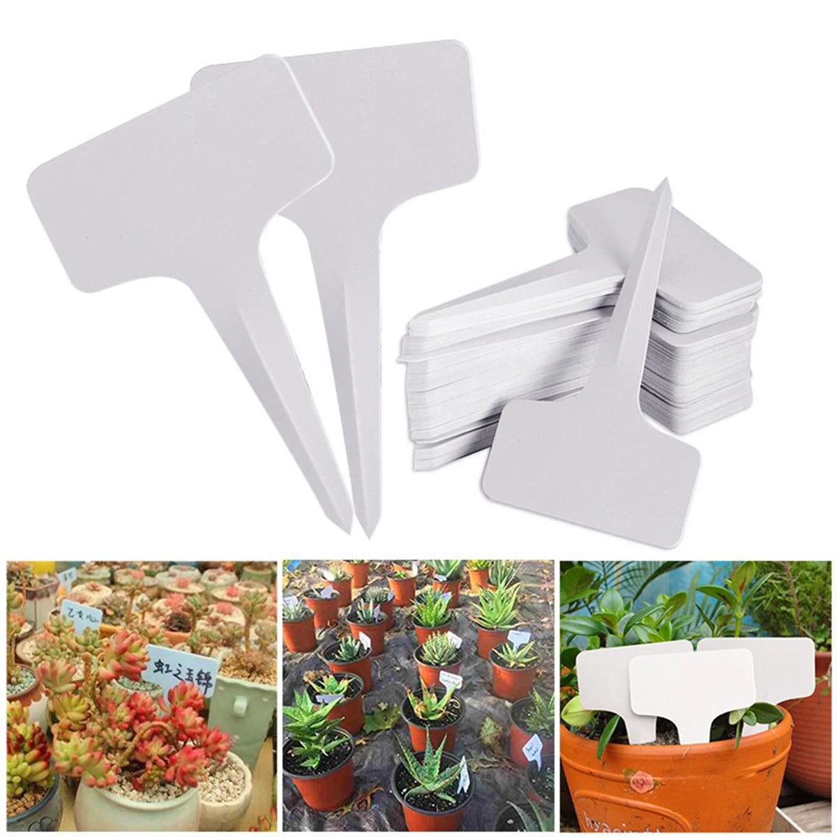 White Plastic Plant Markers