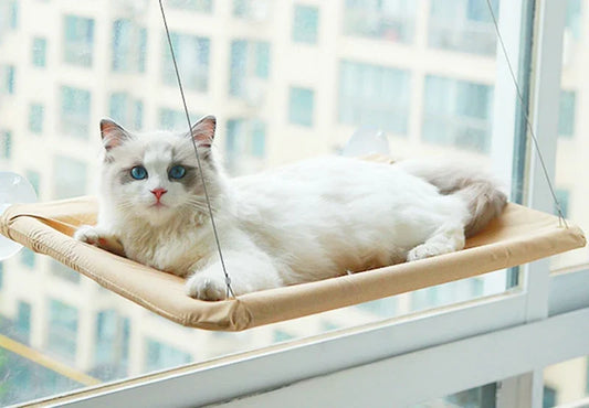 Cat Sunny Window Hammock Hanging