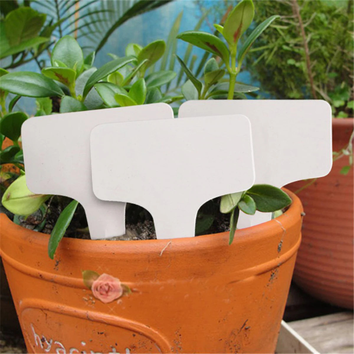 White Plastic Plant Markers