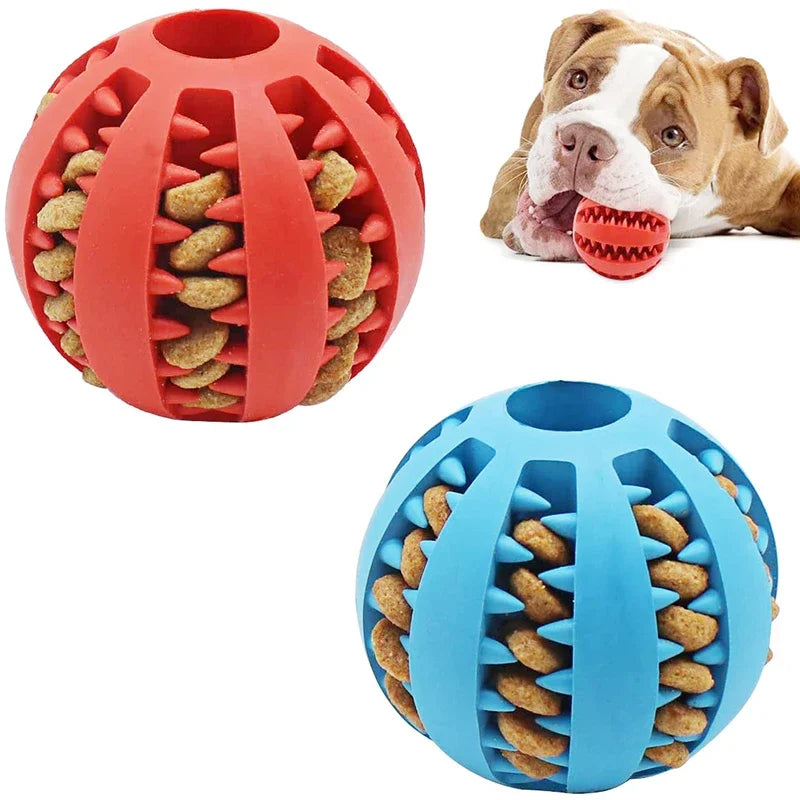 Interactive Pet Ball Toys