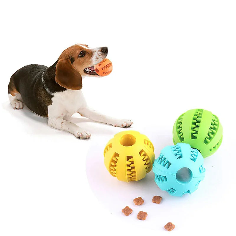 Interactive Pet Ball Toys