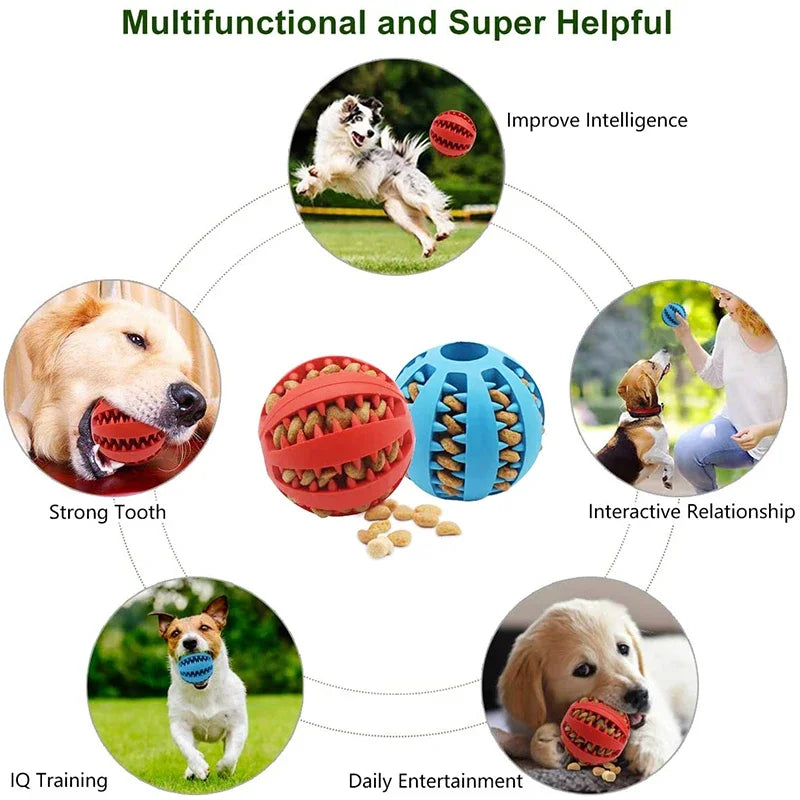 Interactive Pet Ball Toys